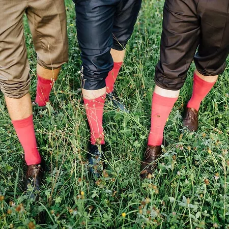 Gasthof Zur Post - Familie Luegmayer ホテル ノイホーフェン・アン・デア・イップス