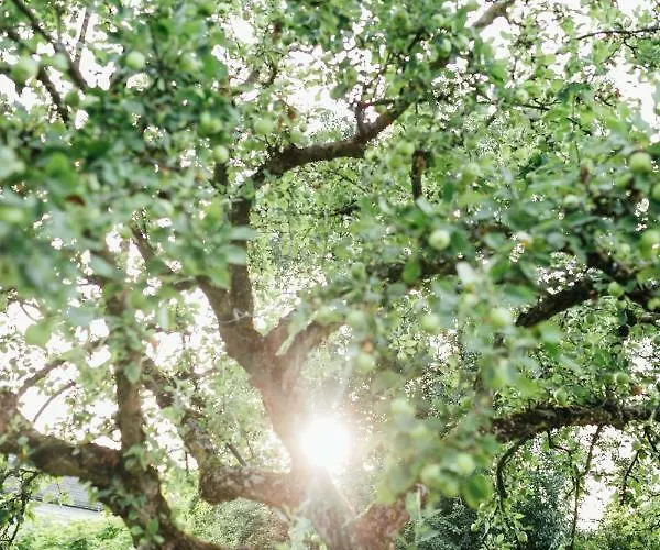 Hotel Gasthof Zur Post - Familie Luegmayer 3*