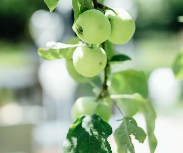 Hotel Gasthof Zur Post - Familie Luegmayer