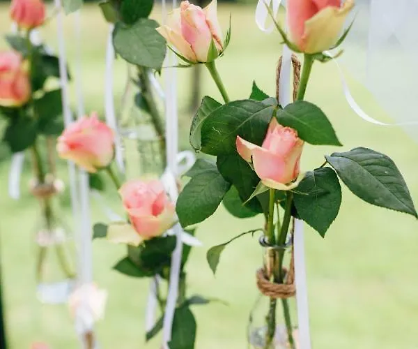 Gasthof Zur Post - Familie Luegmayer Neuhofen an der Ybbs