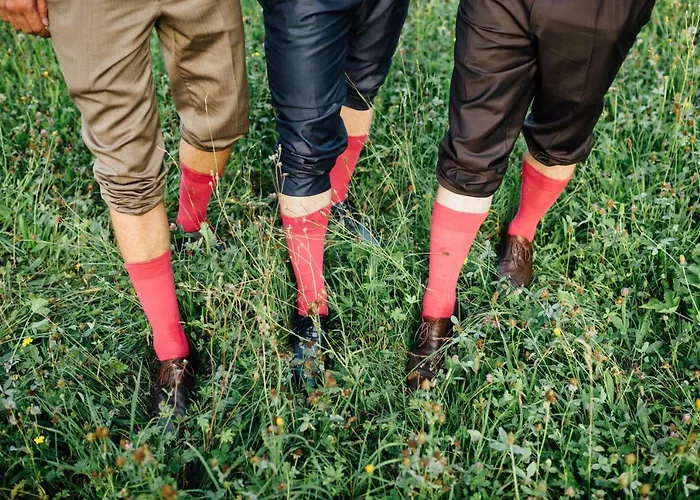Gasthof Zur Post - Familie Luegmayer Hotel Neuhofen an der Ybbs
