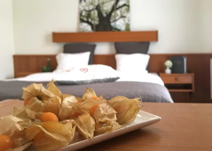 Hotel Gasthof Zur Post - Familie Luegmayer Neuhofen an der Ybbs